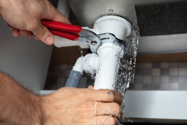 Best Mold removal after water damage  in Brushy, OK