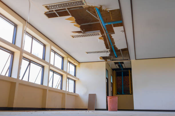 Best Water damage cleanup near me  in Brushy, OK