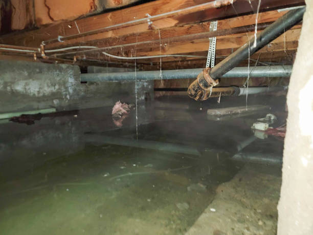 Best 24/7 water damage repair  in Brushy, OK