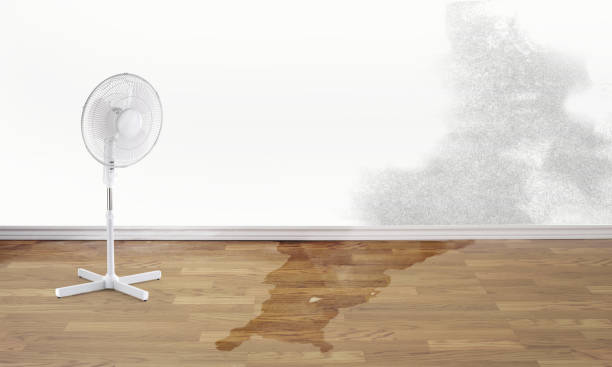Best Water damage restoration near me  in Brushy, OK
