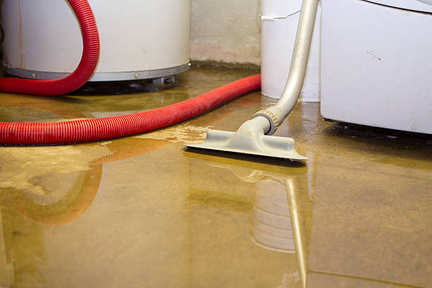 Best Carpet water damage restoration  in Brushy, OK