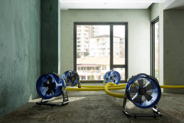 Best Ceiling water damage repair  in Brushy, OK